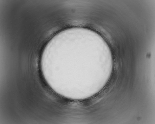 X0000116840115201001081507