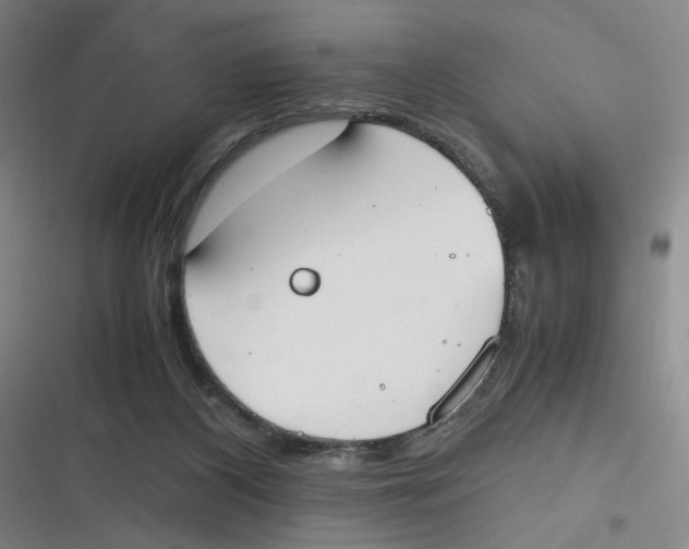 X0000116840116201001081507