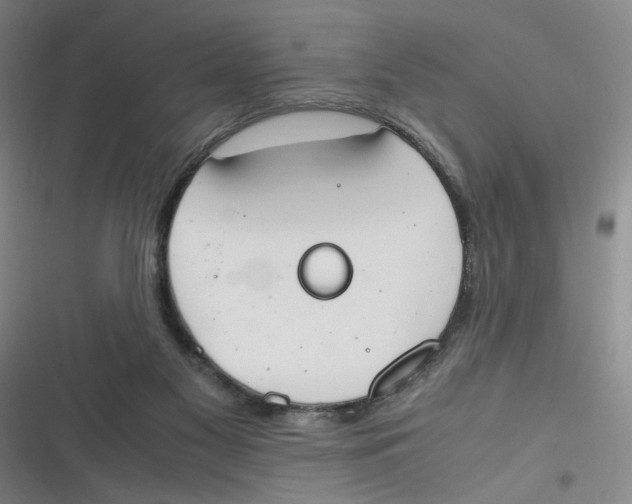 X0000116840117201001081507