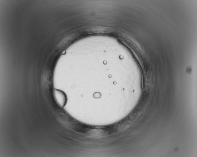 X0000116840119201001081507