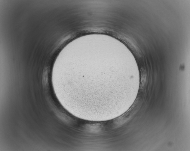 X0000116840120201001081507