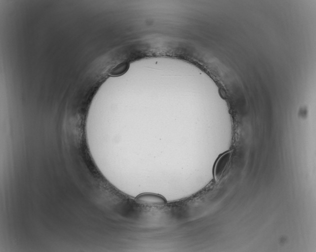 X0000116840121201001081507