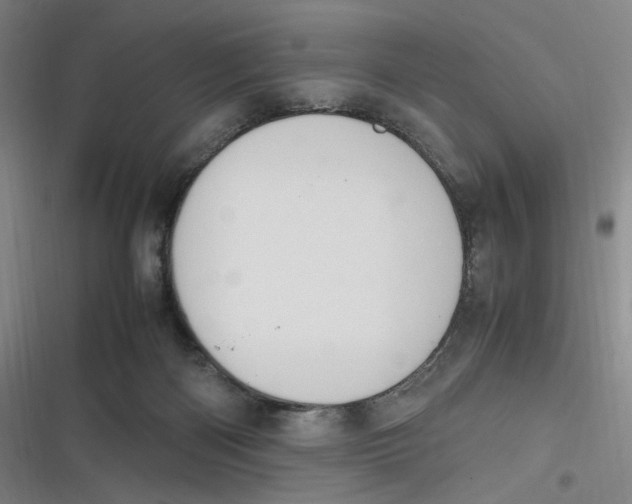 X0000116840122201001081507