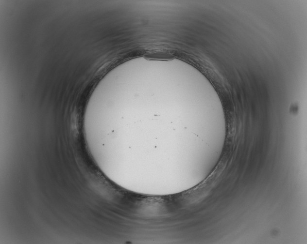 X0000116840124201001081507