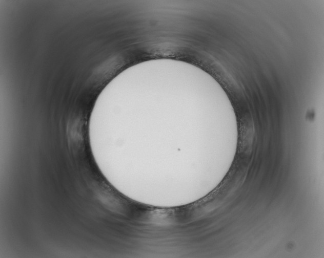 X0000116840126201001081506