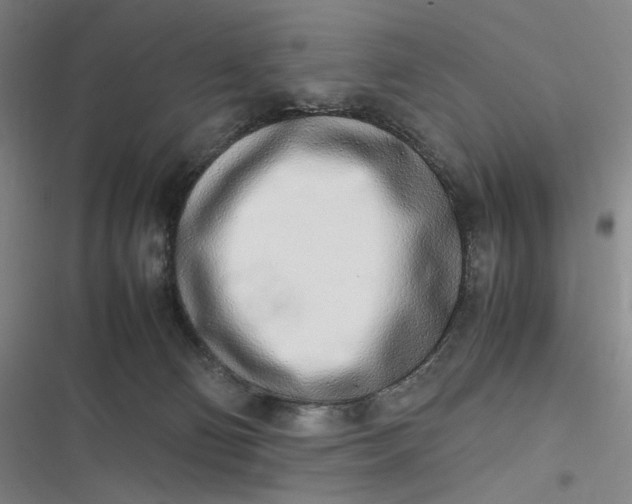 X0000116840130201001081506