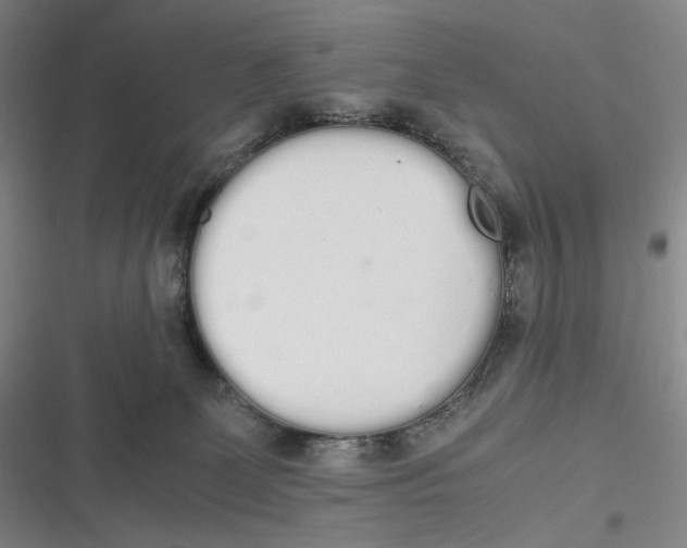 X0000116840131201001081506