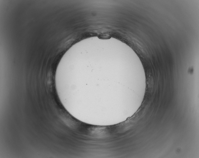 X0000116840132201001081506