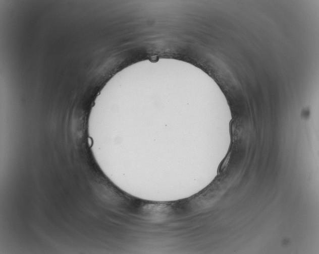 X0000116840133201001081506