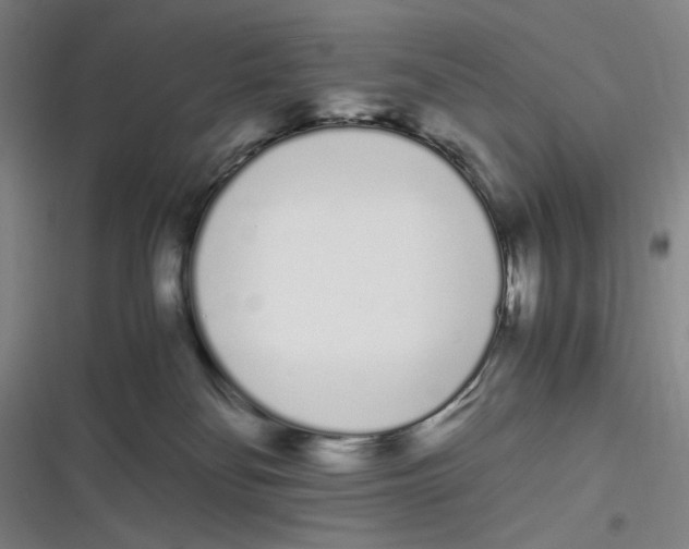 X0000116840134201001081506