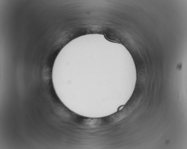 X0000116840135201001081506