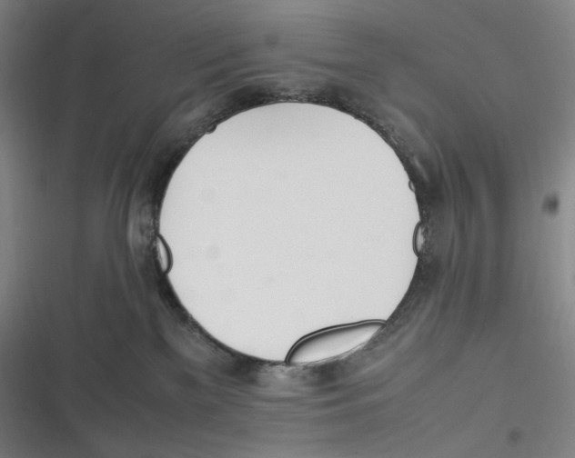 X0000116840137201001081506