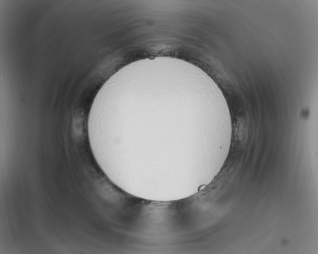 X0000116840138201001081506