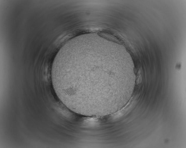 X0000116840140201001081506