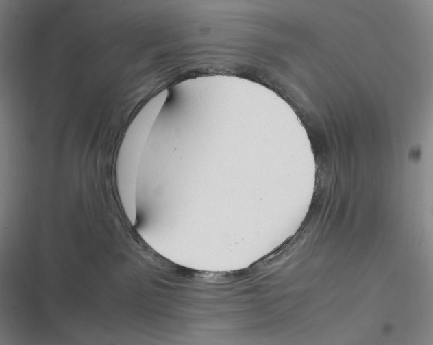 X0000116840141201001081506