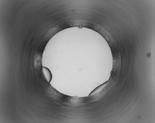 X0000116840142201001081506