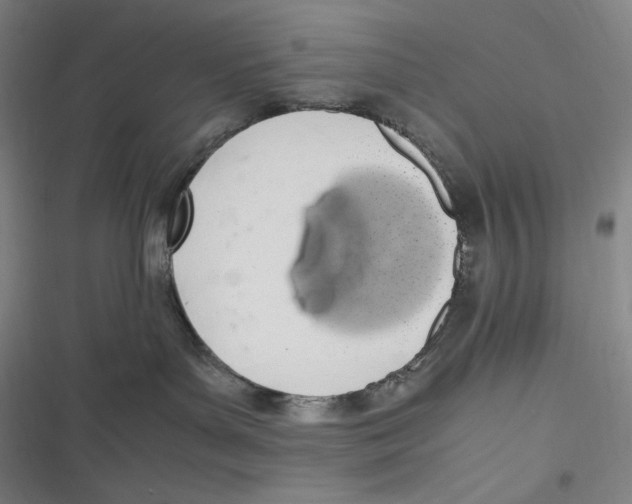 X0000116840143201001081506