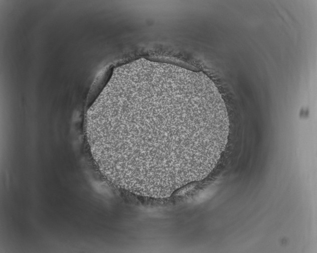 X0000116840144201001081506