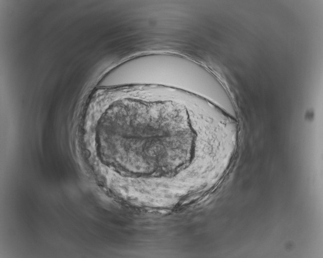 X0000116840145201001081506