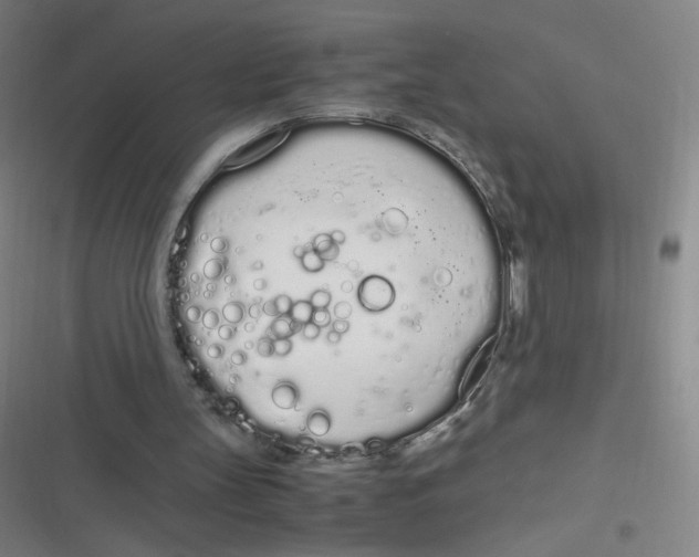 X0000116840147201001081506