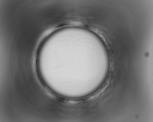 X0000116840149201001081506