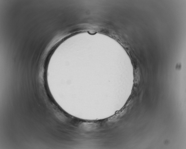 X0000116840150201001081506