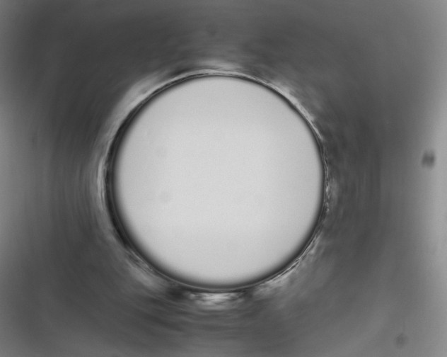 X0000116840151201001081506