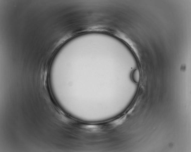 X0000116840153201001081506