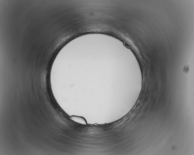 X0000116840154201001081506