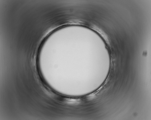 X0000116840155201001081506