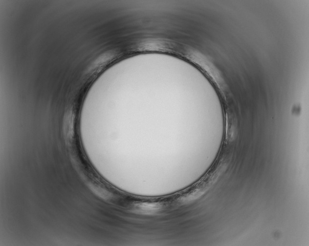 X0000116840157201001081506