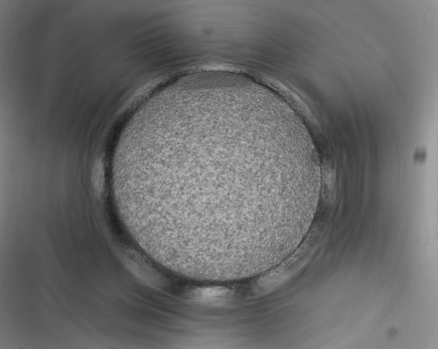 X0000116840158201001081506