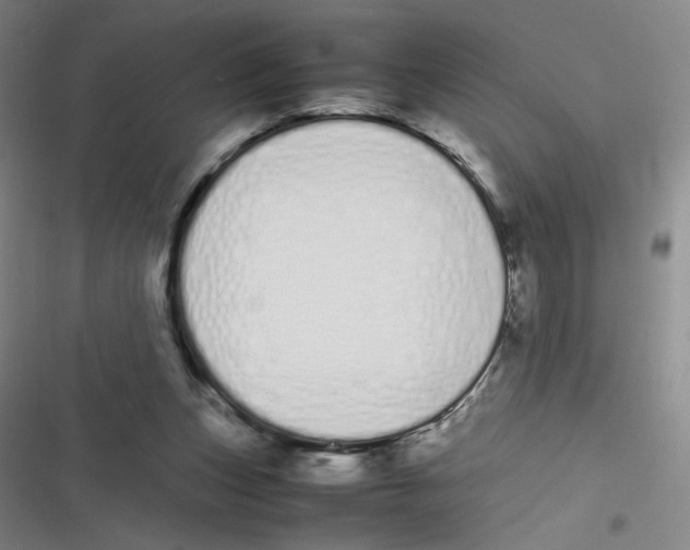 X0000116840159201001081506