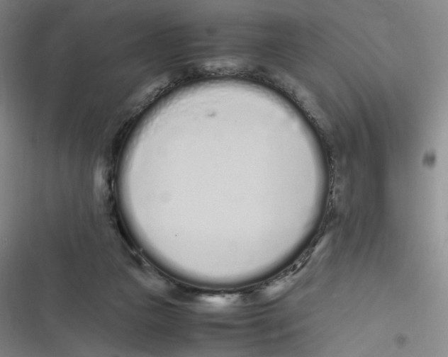 X0000116840161201001081506