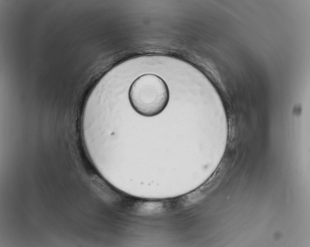 X0000116840162201001081506