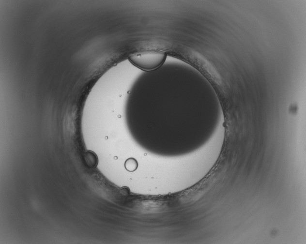 X0000116840163201001081506