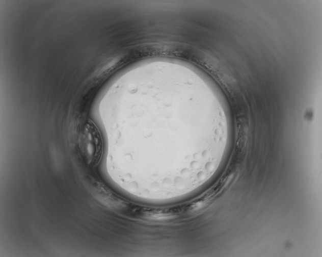 X0000116840165201001081506