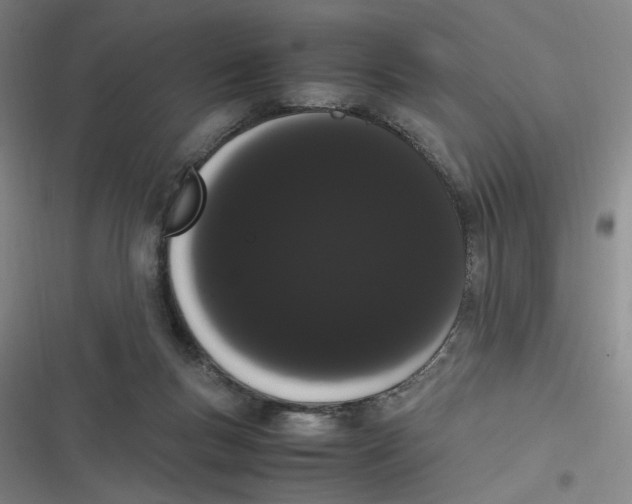 X0000116840167201001081506