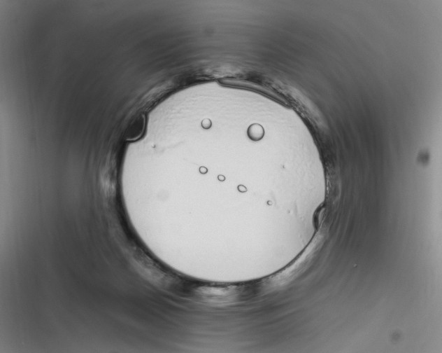 X0000116840170201001081506