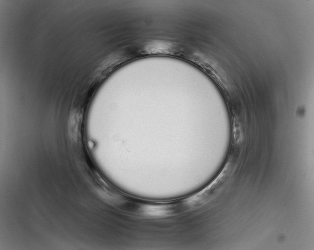 X0000116840171201001081506