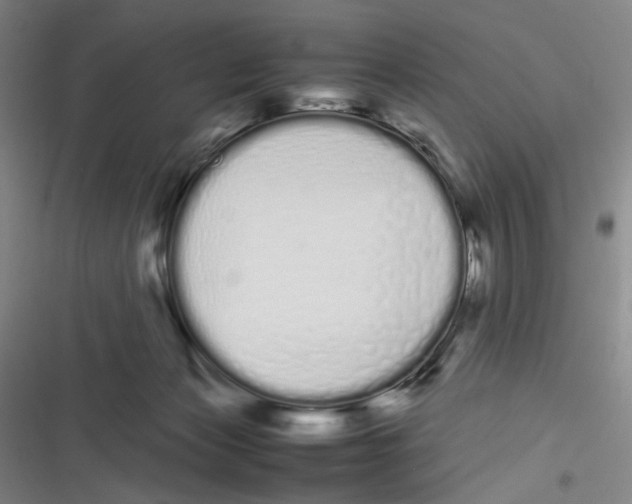 X0000116840173201001081506