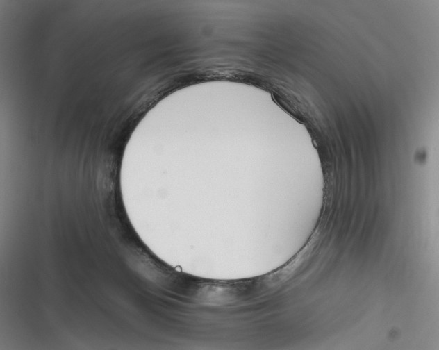 X0000116840174201001081506