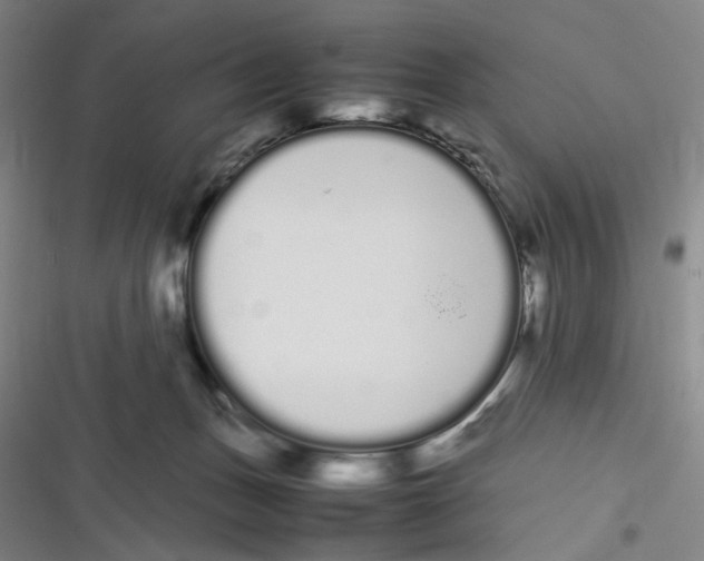 X0000116840175201001081506