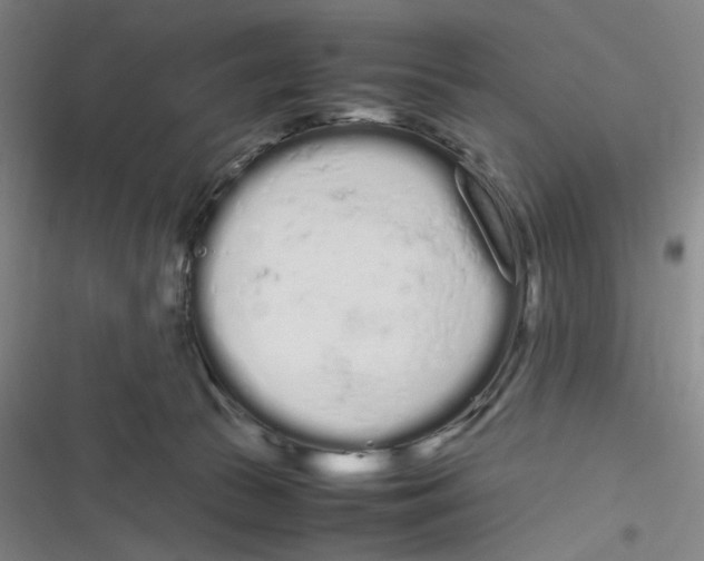 X0000116840177201001081506