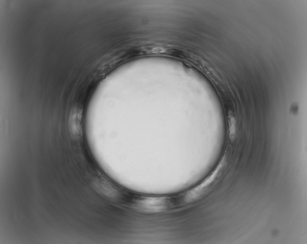 X0000116840178201001081506