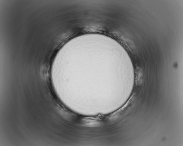 X0000116840179201001081506