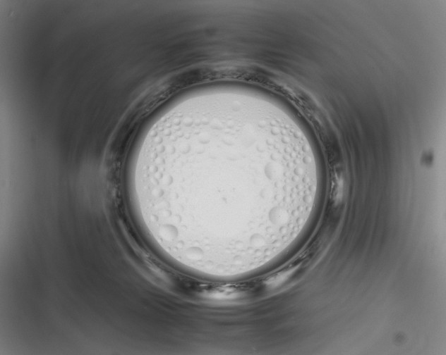 X0000116840181201001081506