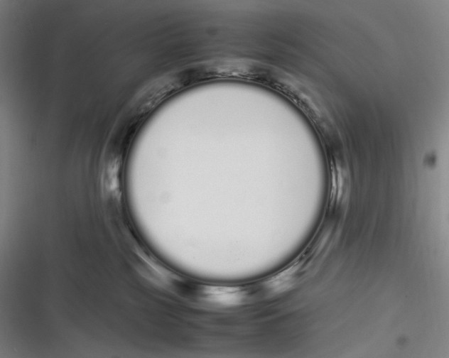 X0000116840185201001081506