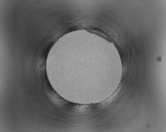 X0000116840186201001081506