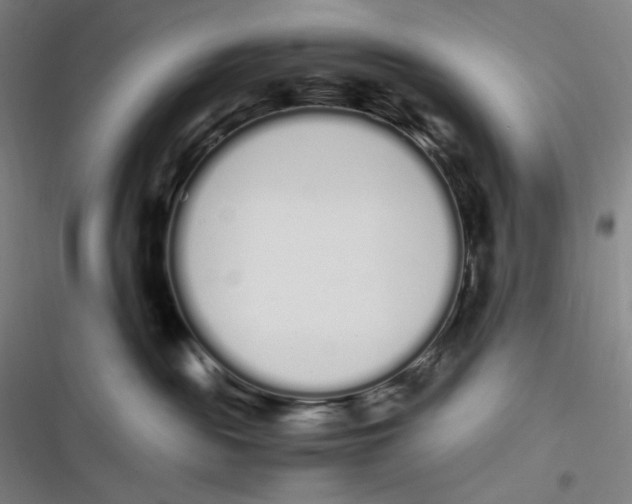 X0000116840189201001081506